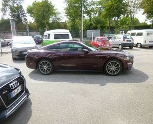 Ford Ford Mustang 2.3 EcoBoost Auto Gebrauchtwagen