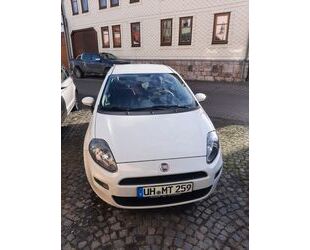 Fiat Fiat Punto 1.2 8V POP POP Gebrauchtwagen