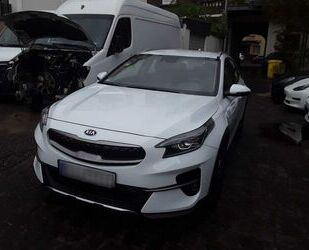 Kia Kia XCeed Vision Plug-in Hybrid/Kamera/Navi/Tempo/ Gebrauchtwagen