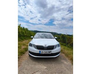 Skoda Skoda Octavia 2.0 TDI 4x4 Ambition Combi Ambition Gebrauchtwagen