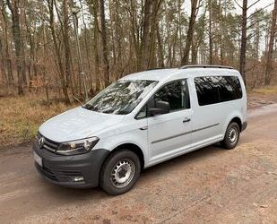 VW Volkswagen Caddy 2,0TDI 75kW BMT Maxi Conceptline Gebrauchtwagen