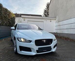 Jaguar XE Gebrauchtwagen