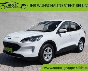 Ford Kuga Gebrauchtwagen