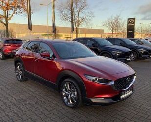 Mazda Mazda CX-30 2.0 X AWD Selection Matrix-LED 360° Ka Gebrauchtwagen