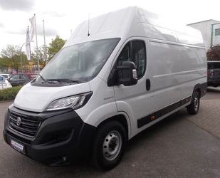 Fiat Fiat Ducato Großraumkasten MAXI L5H3 2.3 140PS Gebrauchtwagen