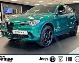 Alfa Romeo Alfa Romeo Stelvio Quadrifoglio 2.9 V6 Sparco Pano Gebrauchtwagen