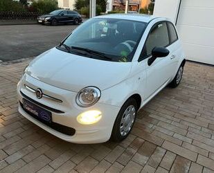 Fiat Fiat 500 Cult 1.0 GSE Hybrid Gebrauchtwagen