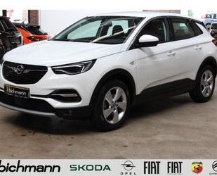 Opel Opel Grandland X Innovation AHKa LED RCam 18 Apps Gebrauchtwagen