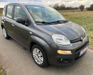 Fiat Panda Gebrauchtwagen