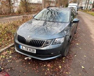 Skoda Skoda Octavia 2.0 TDI DSG Drive Combi Drive Gebrauchtwagen