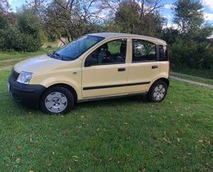 Fiat Fiat Panda 1.1 8V Active, 5-türig, 8xbereift, 1. H Gebrauchtwagen