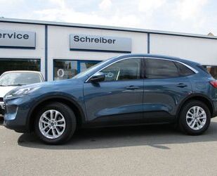 Ford Ford Kuga 2.0 EcoBlue 4x4 Aut. TITANIUM X, Navi, A Gebrauchtwagen