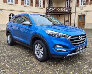 Hyundai Hyundai TUCSON BLUE 1.6 GDI XENON KAMERA T.WINKEL Gebrauchtwagen