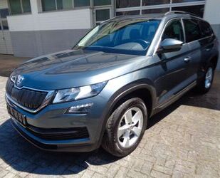 Skoda Skoda Kodiaq 2.0l Ambition 7 Sitze ACC Business-P Gebrauchtwagen