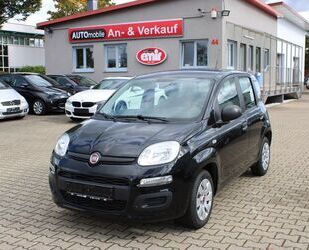 Fiat Fiat New Panda 1.2 Klima Gebrauchtwagen