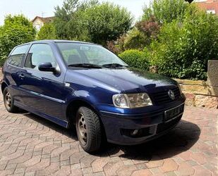 VW Volkswagen Polo 1.0 COMFORTLINE , ideal als Winter Gebrauchtwagen