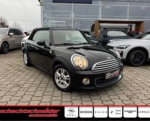 Mini MINI Mini One Cabrio+Leder+Sitzheiz+Klimaaut+ Gebrauchtwagen