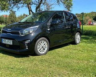 Kia Kia Picanto 1.2 Vision Gebrauchtwagen