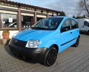 Fiat Fiat Panda 1.1 8V Active HU+AU neu Gebrauchtwagen