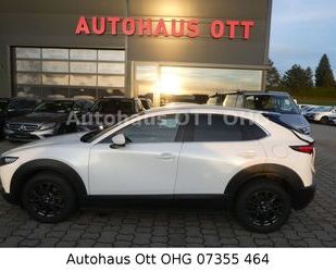 Mazda Mazda CX-30 Selection 2WD Automatik Kamera Gebrauchtwagen