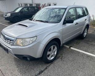 Subaru Subaru Forester Active Gebrauchtwagen