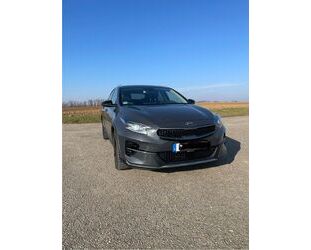 Kia Kia XCeed 1.6 T-GDI DCT Platinum Platinum Gebrauchtwagen