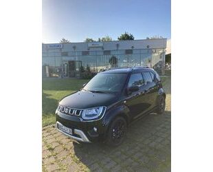 Suzuki Suzuki Ignis 1.2 Comfort HYBRID Gebrauchtwagen