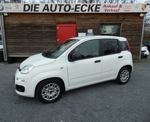 Fiat Fiat Panda 1.2 More / Klima Gebrauchtwagen