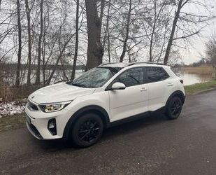 Kia Kia Stonic 1.2 Vision Vision Gebrauchtwagen