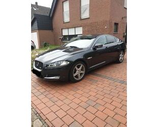 Jaguar XF Gebrauchtwagen