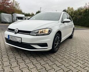 VW Volkswagen Golf 1.0 TSI Trendline Gebrauchtwagen