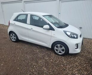 Kia Kia Picanto Edition 7 5Türer Euro 6 Klima nur 40tk Gebrauchtwagen