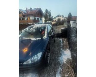 Peugeot Peugeot 206 CC Platinium 110 Platinium Gebrauchtwagen