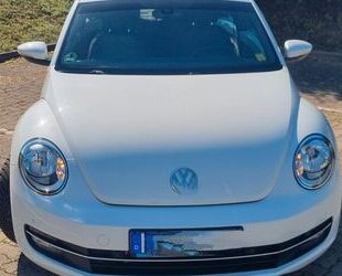 VW Volkswagen Beetle 1.2 TSI Design Design Gebrauchtwagen