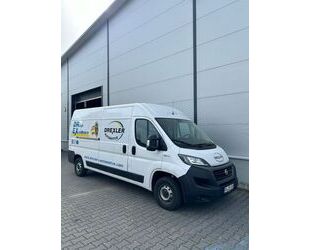 Fiat Fiat Ducato 250 Gebrauchtwagen