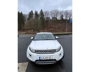 Land Rover Land Rover Range Rover Evoque 2.2 TD4 Automatik Br Gebrauchtwagen