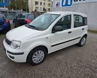 Fiat Fiat Panda 1.2 8V MyLive*Klima*5 Trg.*Euro5* Gebrauchtwagen