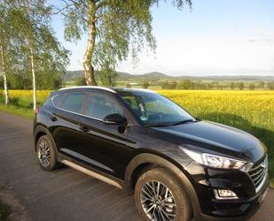 Hyundai Hyundai Tucson 1.6 GDI Premium 8xALU 1.Hand Sitzhz Gebrauchtwagen