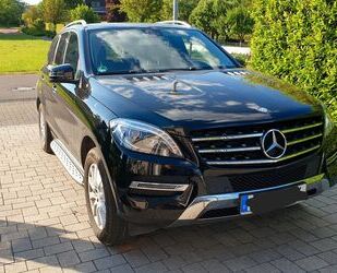 Mercedes-Benz Mercedes-Benz ML 250 BlueTEC 4MATIC - AHK Allrad Gebrauchtwagen