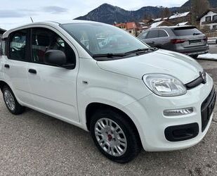 Fiat Fiat Panda Easy 1.2 Ltr-51kW Gebrauchtwagen