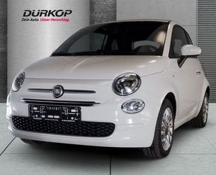 Fiat Fiat 500 1.0 Lounge Mild Hybrid Bordcomputer Klima Gebrauchtwagen