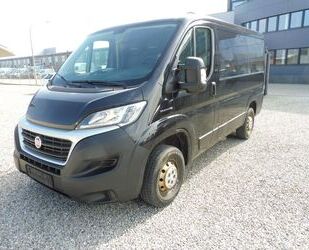 Fiat Fiat Ducato Kasten 115 PS L1H1 1.Hand 3 Sitze Gebrauchtwagen