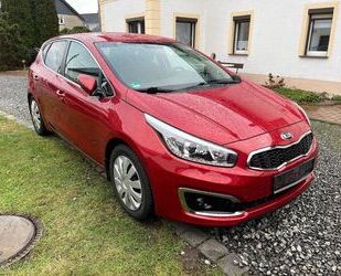 Kia Kia ceed / Ceed 1.6 GDI Gebrauchtwagen