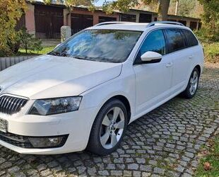 Skoda Skoda Octavia 2.0 TDI Style Xenon/Teilleder/Winter Gebrauchtwagen