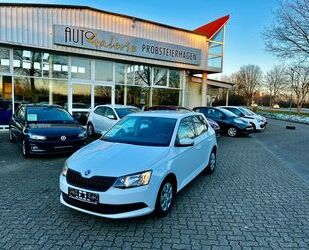 Skoda Skoda Fabia Active1.0 MPI Active Green Allwetter K Gebrauchtwagen