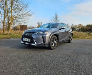 Lexus Lexus UX 250h Launch Edition 2019 Gebrauchtwagen