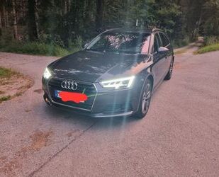 Audi Audi A4 40 TDI DSG Avant Kamera Headup 8 Fach Berr Gebrauchtwagen