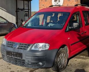 VW Volkswagen Caddy Life 1.6 7-Sitzer - Gebrauchtwagen