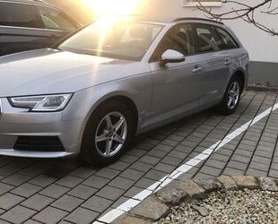 Audi Audi A4 35 TDI S tronic design Avant design Gebrauchtwagen