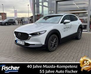 Mazda Mazda CX-30 2.5 (140PS) Autom. Exclusive Modell 20 Gebrauchtwagen